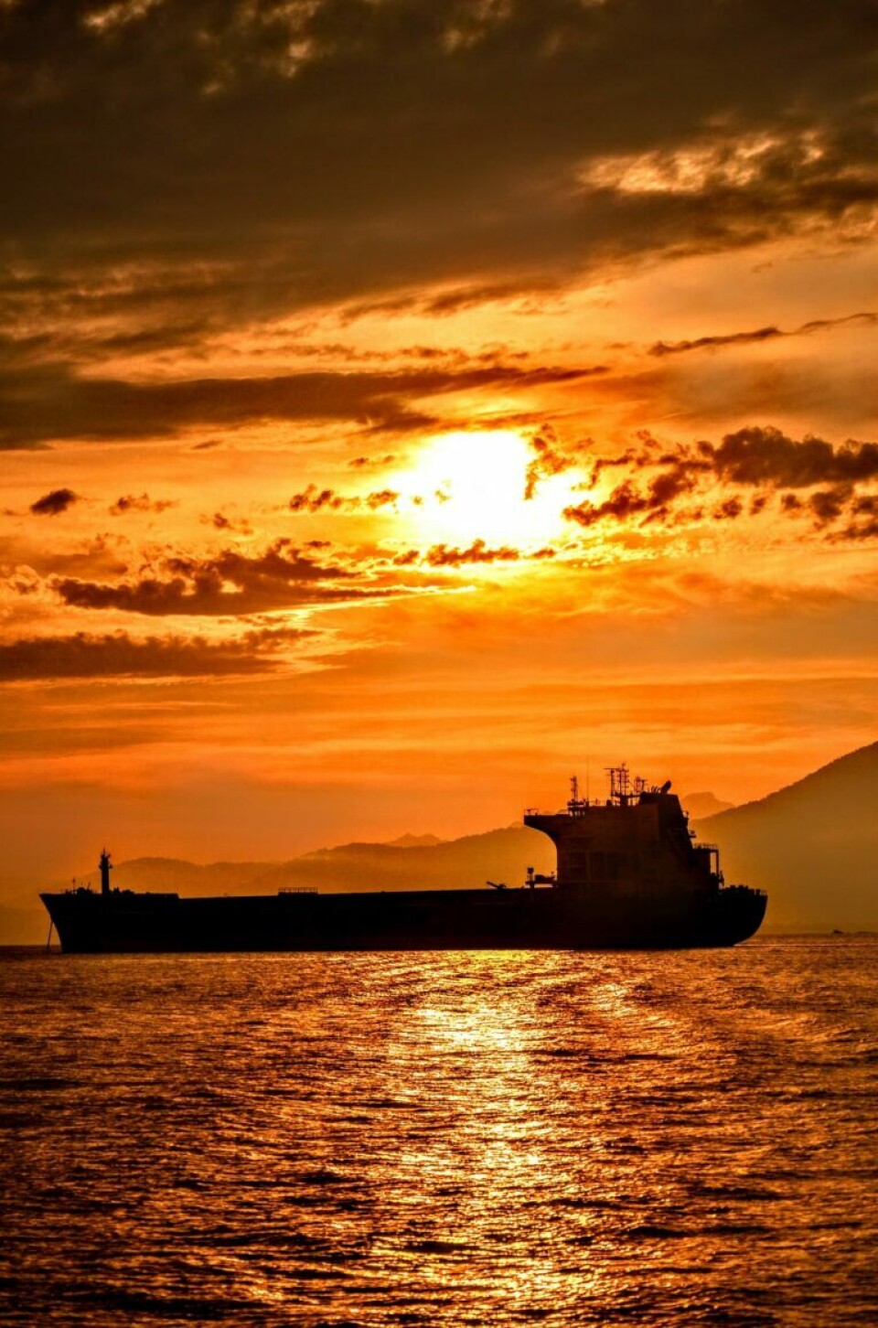 Insect Infested Ship Gets Kicked out of U.S. Insect Infested Ship Gets Kicked out of U.S.