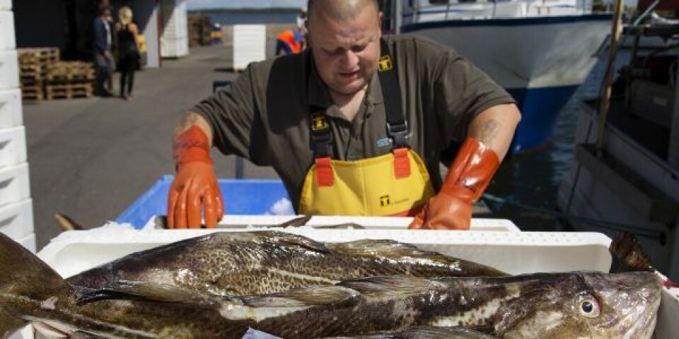 Foto: Foreningen for Skånsomt Kystfiskeri Producentorganisation.