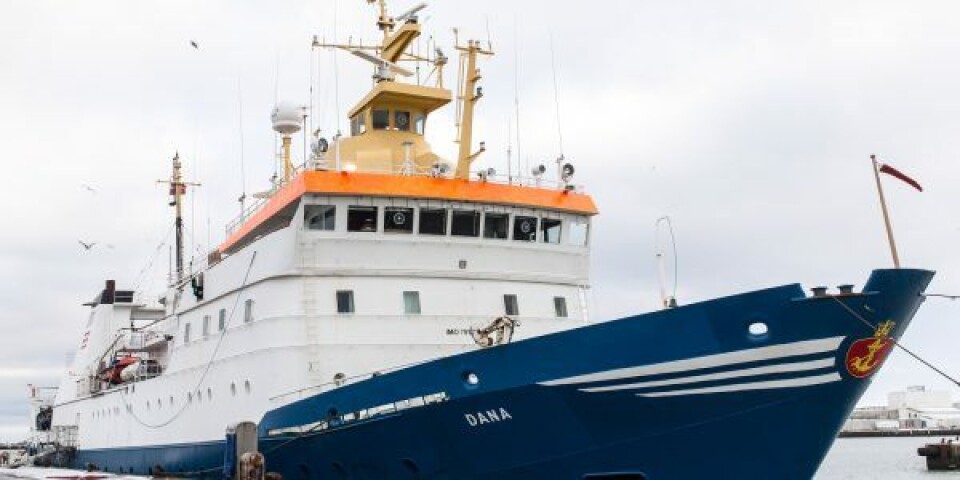 Forskningsskibet Dana i Hirtshals Havn. Foto: Milan Møller Pavlovic