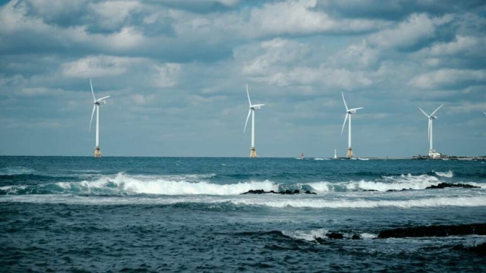 Danmark og Østersølandene vil syvdoble strømmen fra havvindmøller