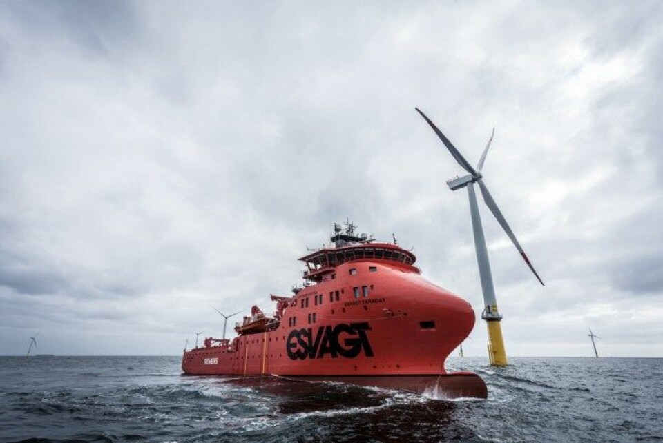 Analyse: USA har brug for dansk hjælp til offshore Analyse: USA har brug for dansk hjælp til offshore