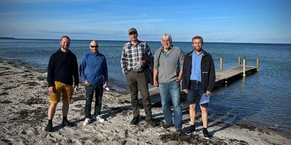 Fra venstre ses Rune Riis, viceforstander på Samsø Efterskole, Jon Christian Svendsen, seniorforsker, DTU Aqua, Erik Damgaard Christensen, professor, DTU Mekanik, Bjarne Manstrup, chef for Naturafdelingen, Samsø Kommune, Lars Skovgaard, forvaltningschef, Teknisk Forvaltning, Samsø Kommune. Foto: Jon Christian Svendsen / DTU Aqua