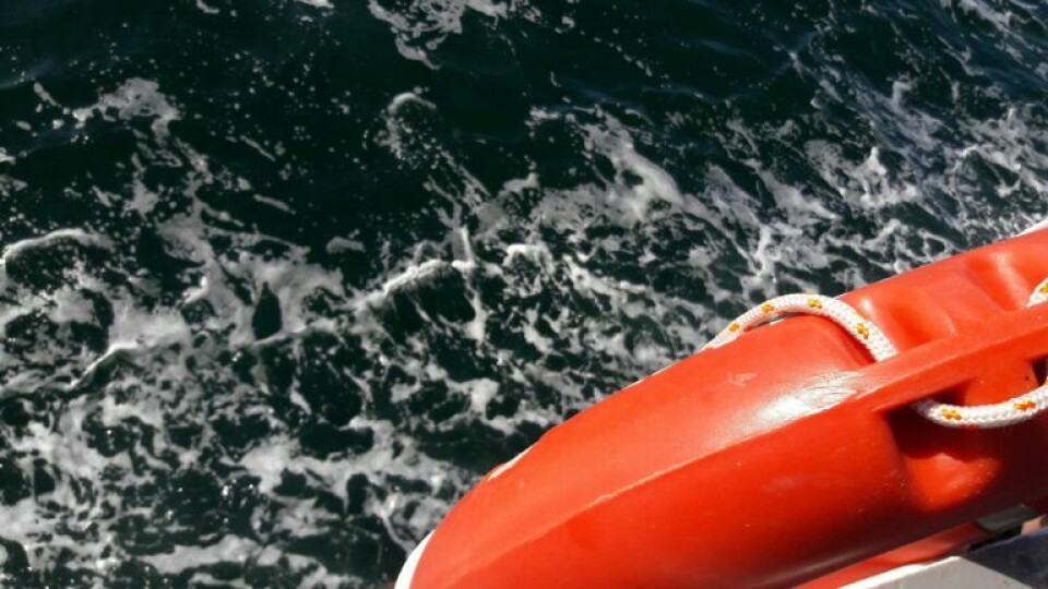 Ekspertgruppe skal forhindre drukneulykker i danske havne