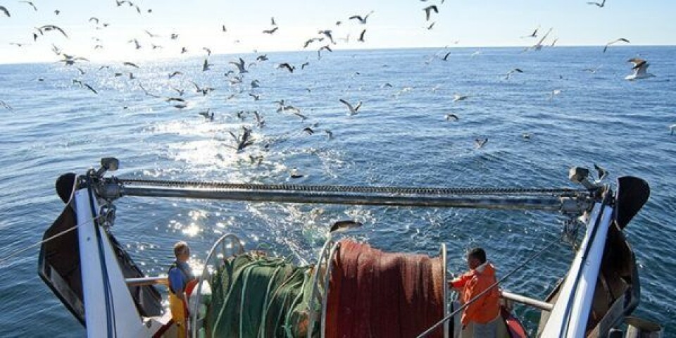 Fisketrawler. Arkivfoto: DTU Aqua