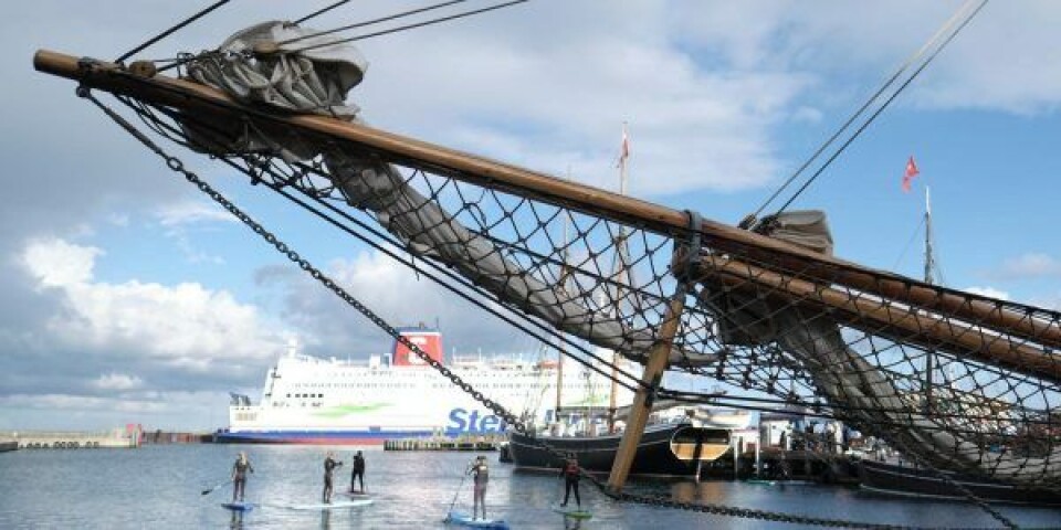 Greena. Foto: Sammen om Sydhavnen