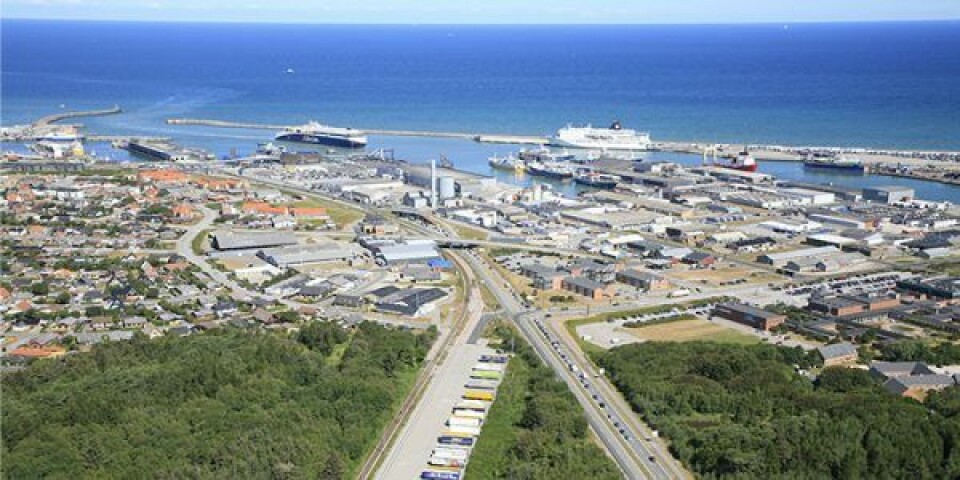 Hirtshals Havn lægger igen i år areal til Naturmødet. Foto: Hirtshals Havn