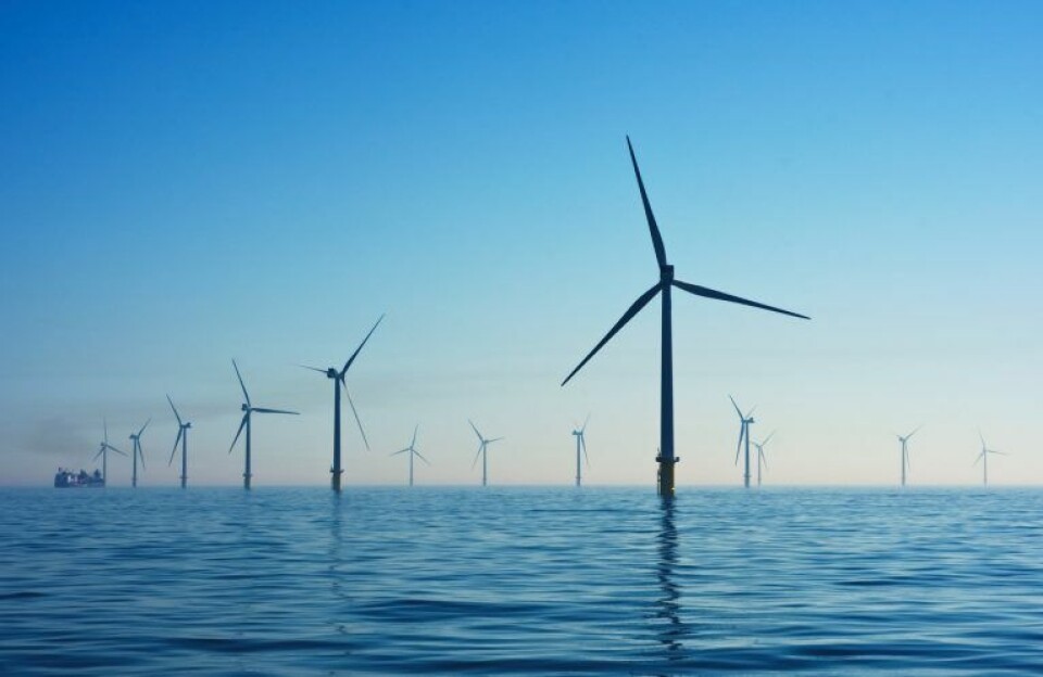Opretter Nordsøalliance – Skal hjælpe vindmøllerne hurtigt på havet Opretter Nordsøalliance – Skal hjælpe vindmøllerne hurtigt på havet