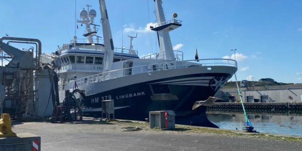 Billedet her er taget på en solskinsfyldt septemberdag, hvor HM 379 Lingbank fra Hanstholm er ved at losse 700 ton brisling til FF Skagen i Hanstholm. Atkivoto: Jesper Andersen / FF Skagen Billedet her er taget på en solskinsfyldt septemberdag, hvor HM 379 Lingbank fra Hanstholm er ved at losse 700 ton brisling til FF Skagen i Hanstholm. Atkivoto: Jesper Andersen / FF Skagen
