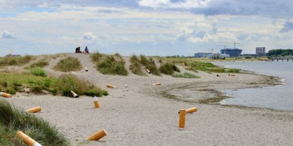 Skader vandmiljøet: Cigaretskod skal i skraldespanden – ikke i naturen Foto: Miljø- og Fødevareministeriet