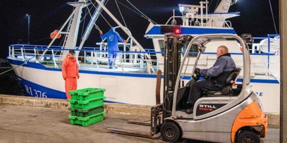 Arkivfoto: Hvide Sande Havn