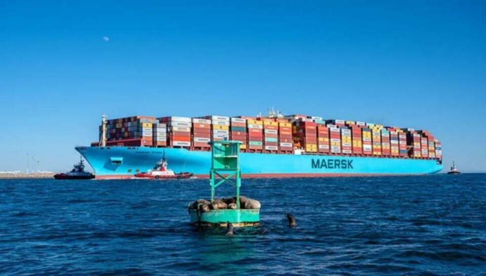Søfolk fra Maersk-skibe vaccineret i USA Søfolk fra Maersk-skibe vaccineret i USA