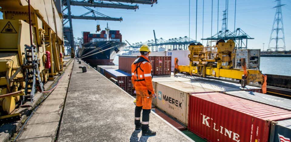 Stigende mængder kokain ankommer med containerskibe til EU