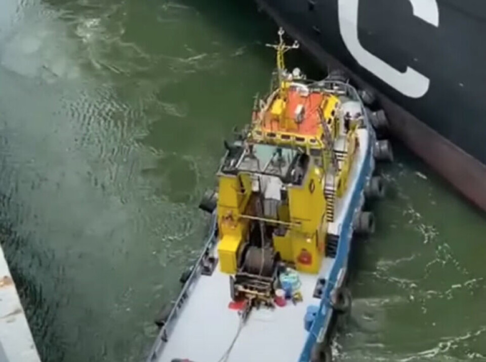 Imponerende video: Se slæbebåd redde containerskib fra kollision Imponerende video: Se slæbebåd redde containerskib fra kollision