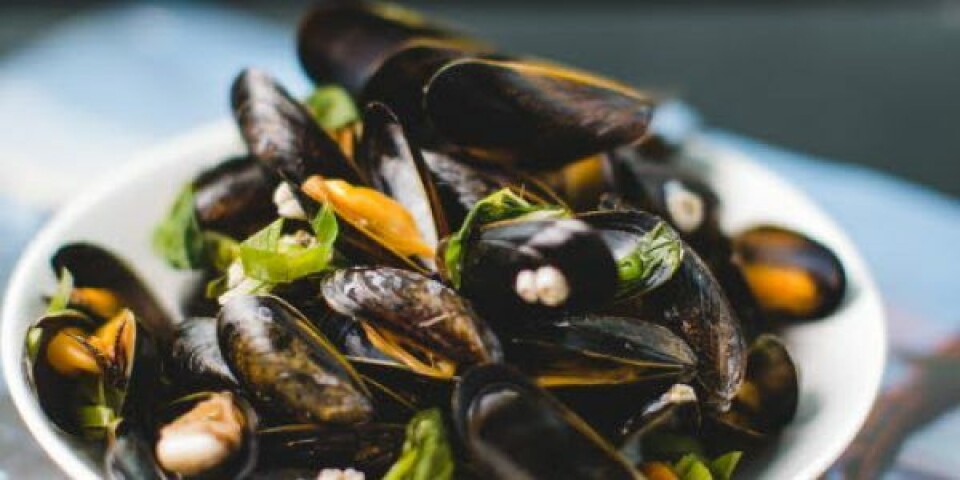 Lerøy Seafood led i 2020 Foto: Lerøy Seafood Group.