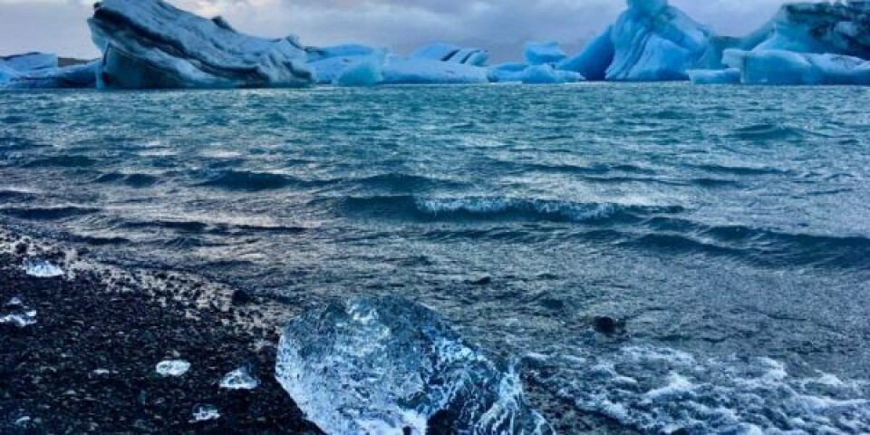Verdens største isbjerg på kollisionskurs med South Georgia agnieszka-m-yrlAfOO51UU-unsplash-1-768x576