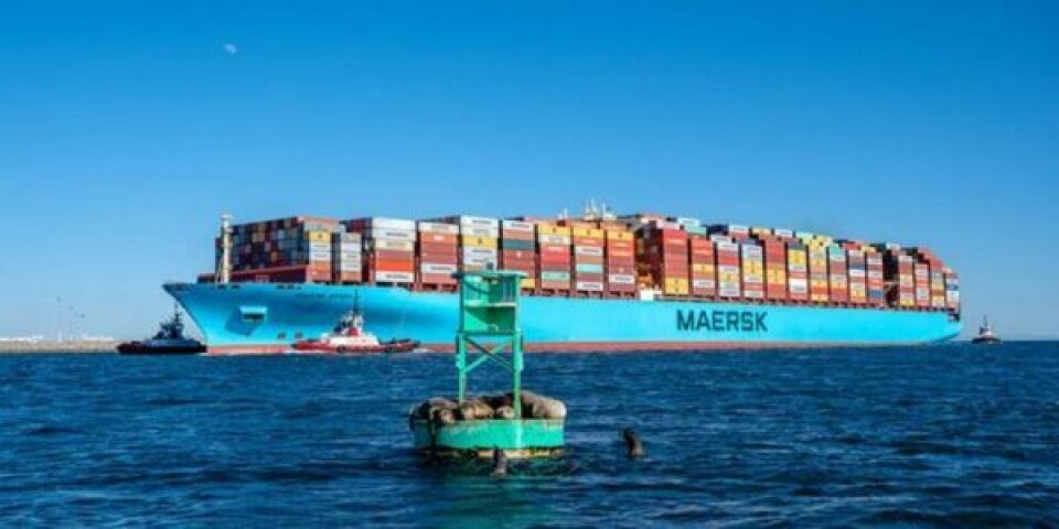 Mærsk bestiller CO2-neutrale skibe om tre år Udklip-14-768x436