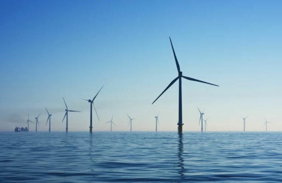 Grønt lys til ny svensk vindmøllepark i Østersøen