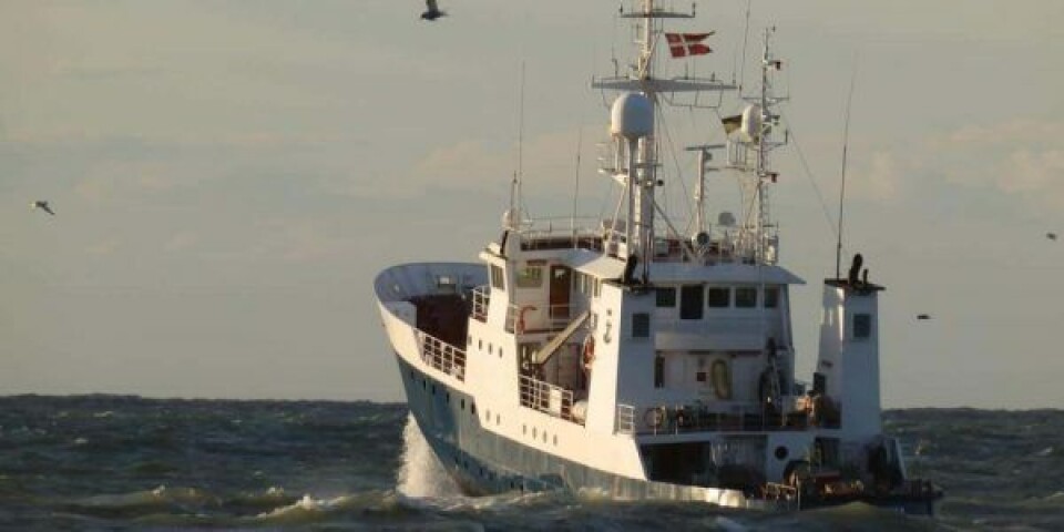 Fiskerikontrolskibet Vestkysten. Arkivfoto: Fiskeristyrelsen