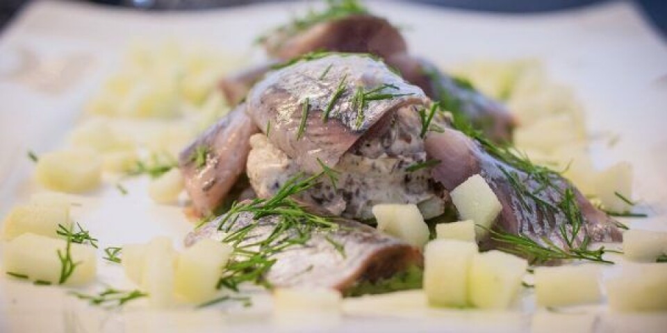Hvordan er fisken blevet behandlet, før den endte på julebordet? Dyrenes Beskyttelse guider dig her til at vælge den rigtige fisk til julefrokosten. Hvordan er fisken blevet behandlet, før den endte på julebordet? Dyrenes Beskyttelse guider dig her til at vælge den rigtige fisk til julefrokosten. Foto: Dyrenes Beskyttelse