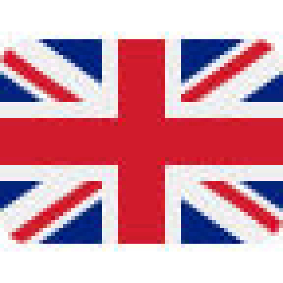 Suez: Internettet gør tykt grin med containerskib 🇬🇧