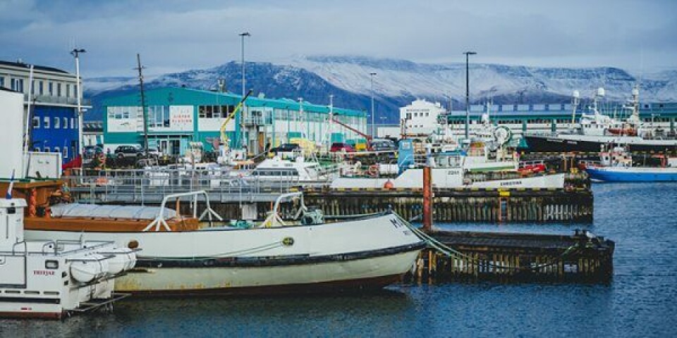 Foto: Hirtshals Havn