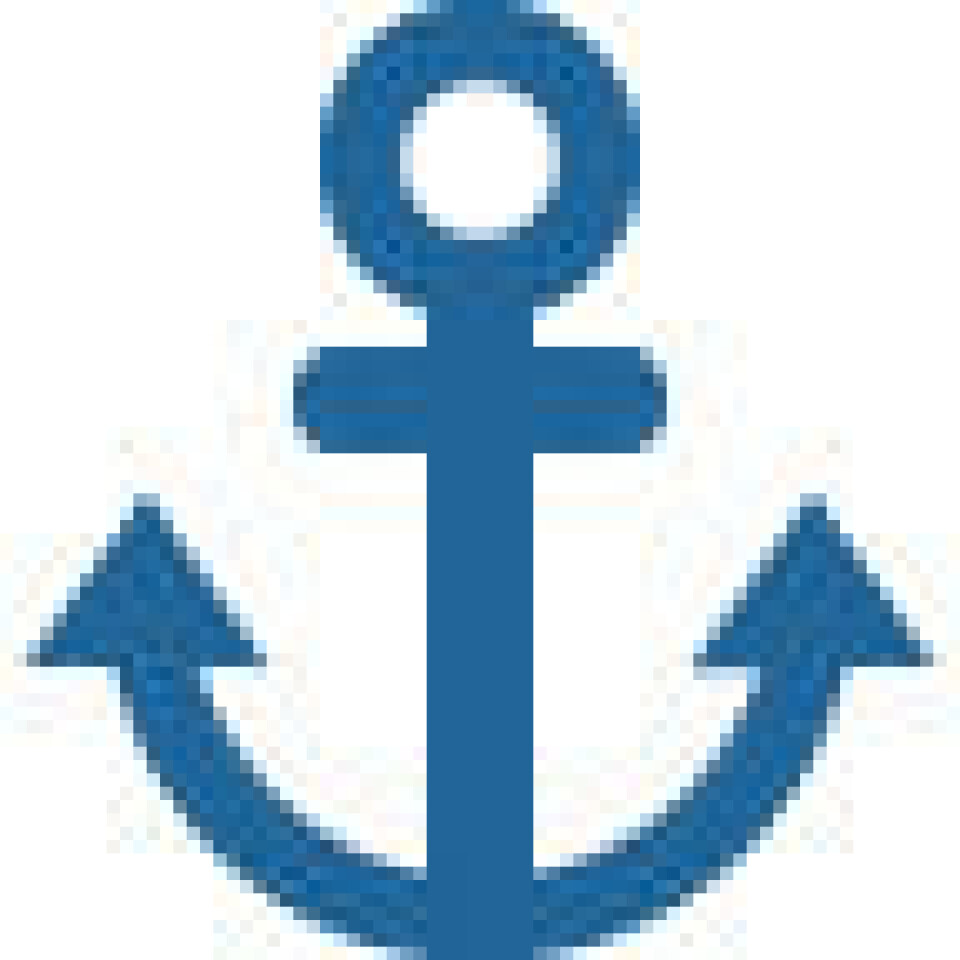 Forsvarsminister vil piratangreb til livs ⚓
