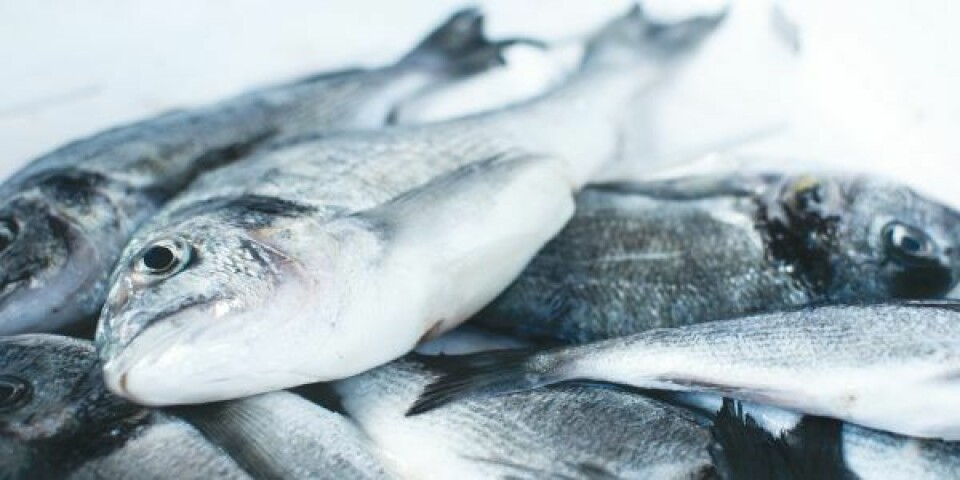 Priserne på fisk er steget 17 procent på et år, og det gør det mere lønsomt for fiskerne at gå på havet. Stigende priser generelt og på brændstof i særdeleshed udfordrer dog stadig branchen.