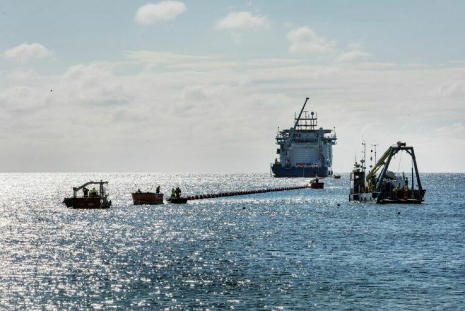 Energinet igangsætter forundersøgelser for havvindmølleparker