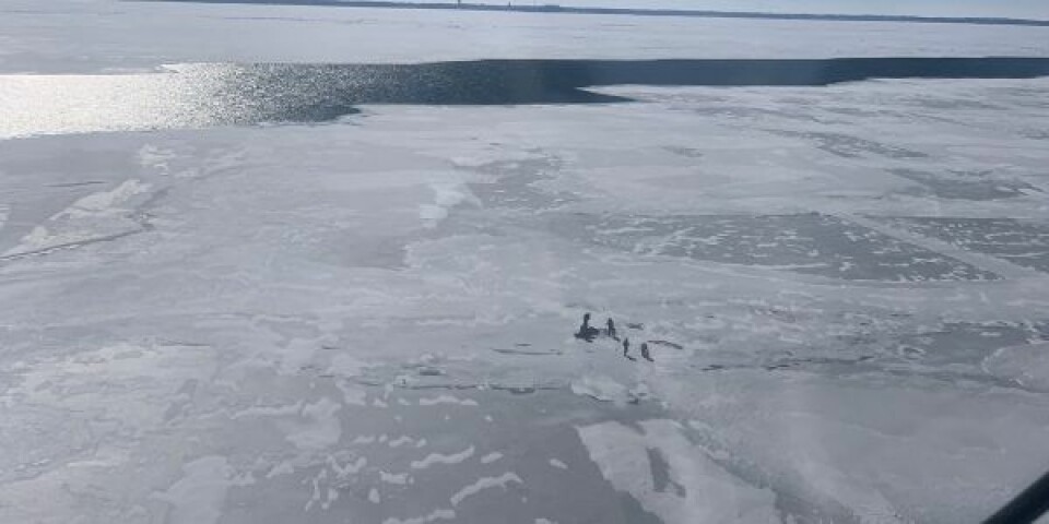 De strandede personer på isflagen. Foto: US Coast Guard