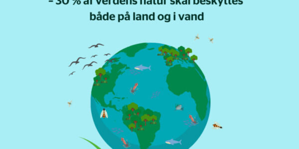 Kilde: Miljø- og Fødevareministeriet Kilde: Miljø- og Fødevareministeriet