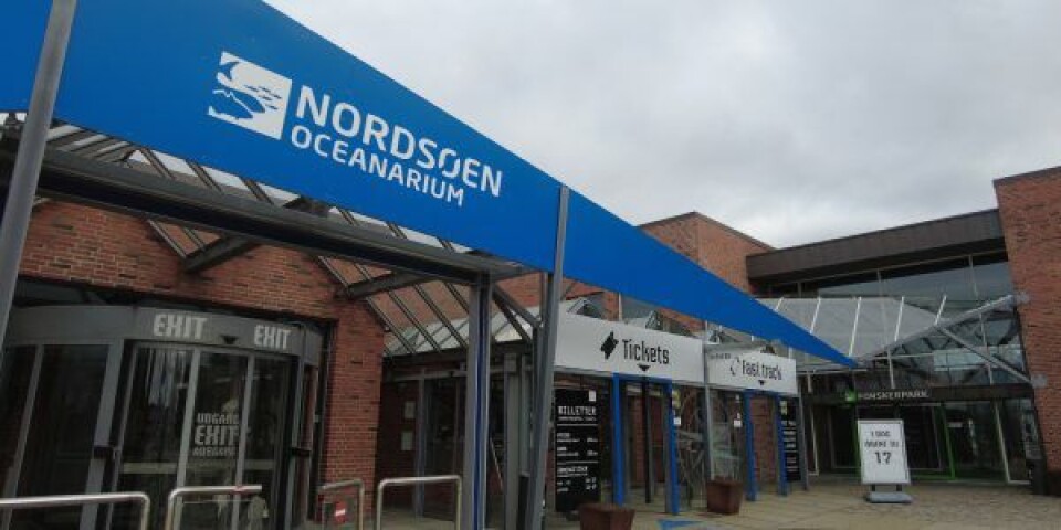 Nordsøen Oceanarium. Foto: Stefan Holmager Larsen