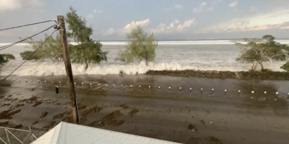 Tsunamien ved Tonga. Screenshot: Twitter / Dr. Faka’iloatonga Taumoefolau