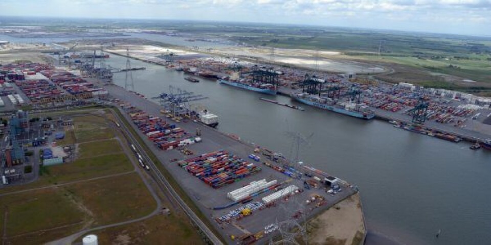 Havnecontainer i Antwerpen indeholdt 11,5 ton kokain Antwerpen-havn-1-scaled