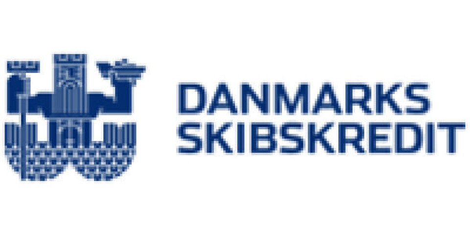 Danmarks Skibskredit lander lille overskud på 117 millioner Dansk-Skibskredit