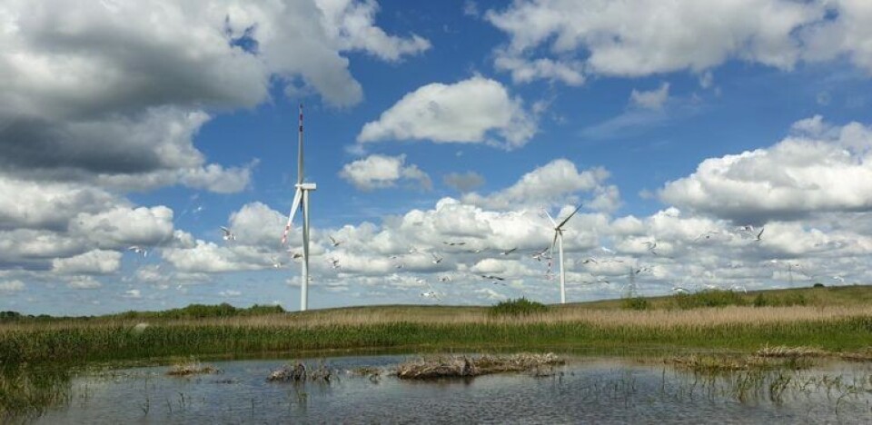 European Energy sikrer finansiering til polske projekter European Energy sikrer finansiering til polske projekter