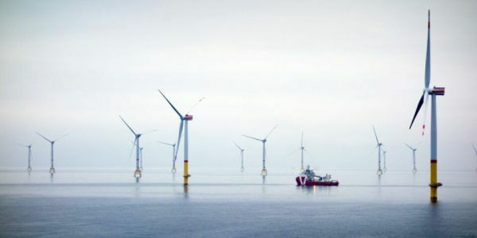 De store havvindmølleparker i Østersøen skal være trækhesten for udviklingen af Bornholms erhvervsfyrtårn. Foto: istock