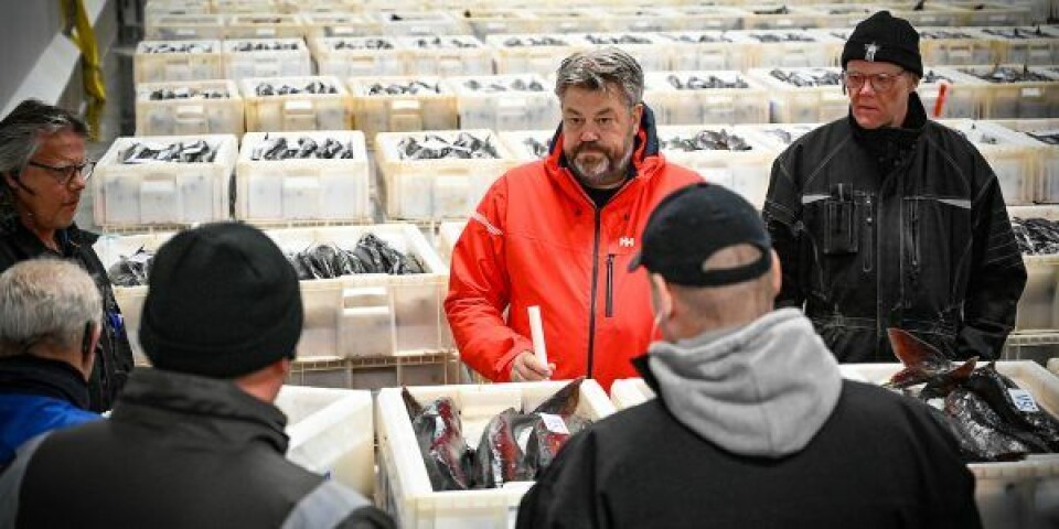 I dag drives og ejes Hanstholm Fiskeauktion af Jesper Kongsted - her set iført orange jakke. Foto: Hanstholm Fiskeauktion