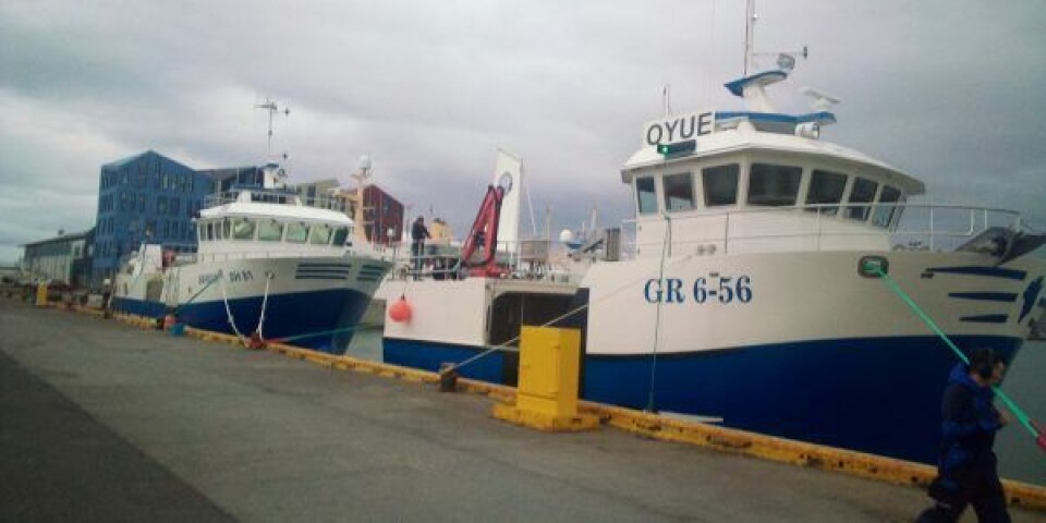 Nybygninger fra Rødbyhavn her fotograferet i Hafnarfjörður nær Reykjavík på Island. ( Nybygninger fra Rødbyhavn her fotograferet i Hafnarfjörður nær Reykjavík på Island. (Foto: Peter Thias)