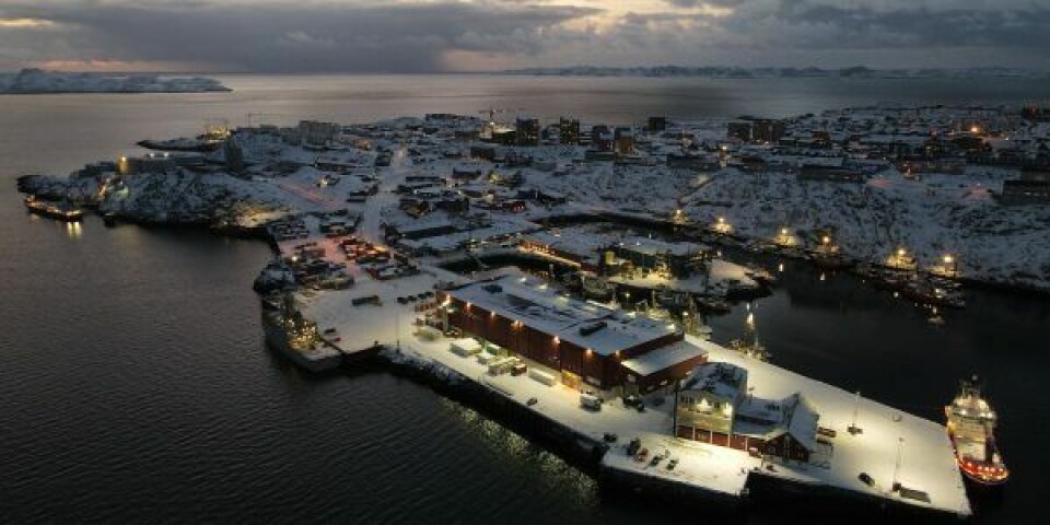 Havnen i Nuuk kom godt ud af 2021. Foto: Sikuki Nuuk Harbour A/S