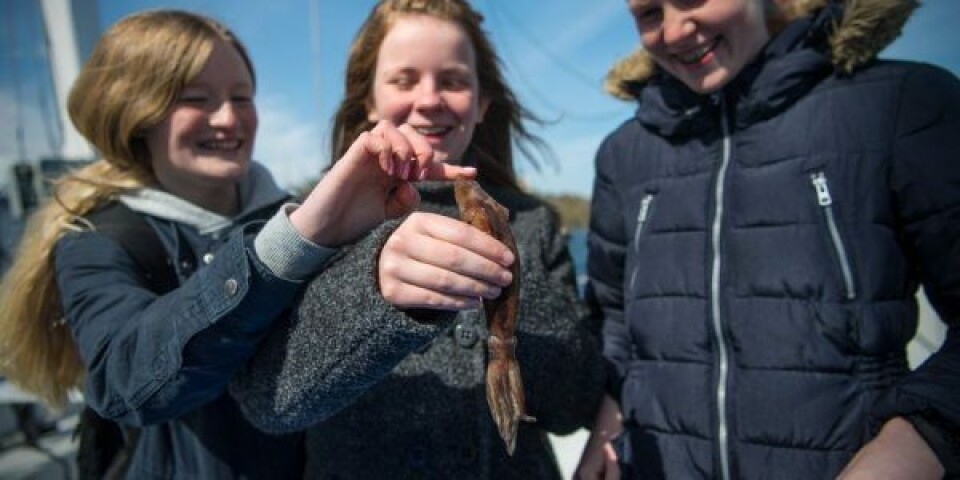 Målet med formidlingstogtet er at få skolebørn til at interesere sig for havmiløet. Foto: Hovedet i Havet