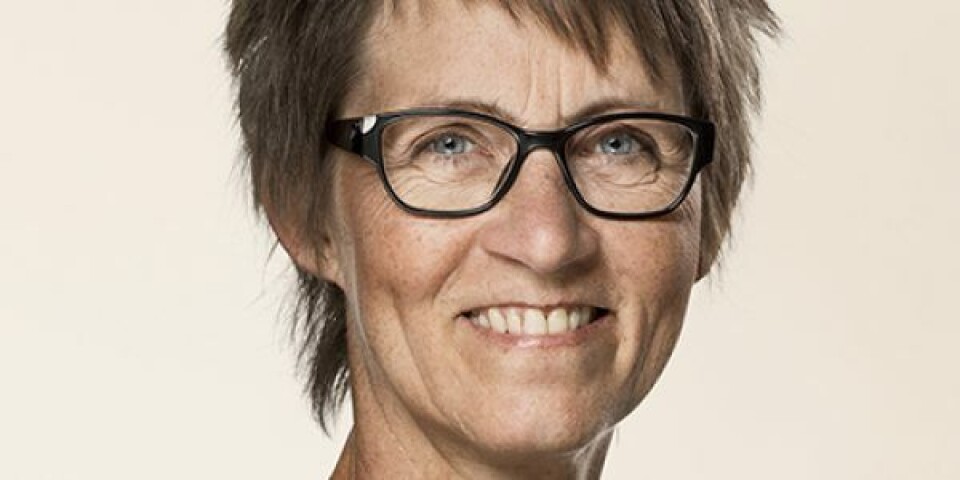 Susanne Zimmer. Foto: Steen Brogaard / Folketinget