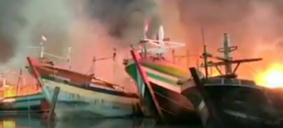 Tragisk video: Her går 13 skibe op i flammer
