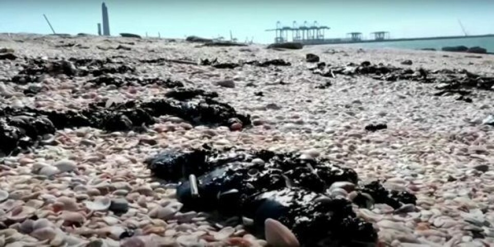 Video: Mystisk olieforurening lukker israelske strande Udklip-8-768x351