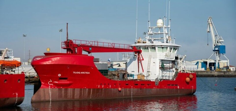 Tilioq Arctica.