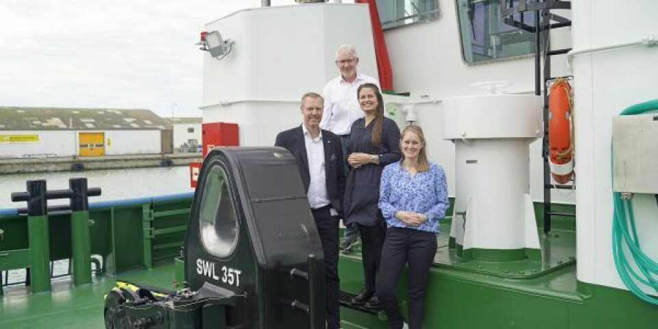 Hirtshals Havns nye direktionsteam; Niels Kiersgaard (bagest), Per Holm Nørgaard (venstre), Anja Vrangager (højre) og Kikki Kongerslev (forrest). Foto: Hirtshals Havn