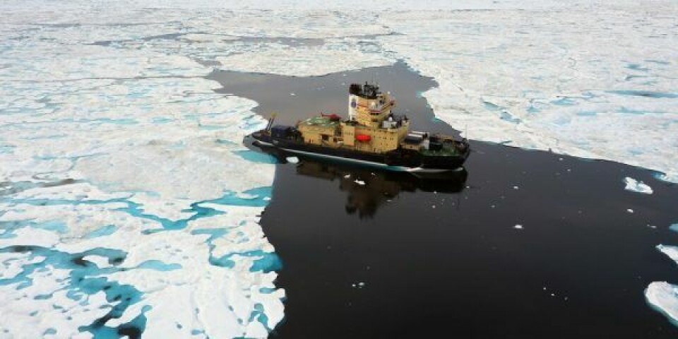 Isbryderen Oden i havisen nord for Grønland. Foto: Martin Jakobsson, Stockholm University