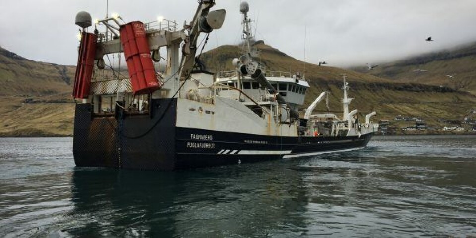 Hjemkommet fra en af flere rejser omkring Færøerne landede ”Fagraberg” i midten af juni på en enkelt rejse ikke mindre end 2.800 tons blåhvilling. Trawleren Borgarin landede 1.500 tons blåhvilling. Trawlerne lossede ved Havsbrún i Fuglefjorde. Efter losning er fartøjerne igen på havet. (Foto: Thyge Baungaard)