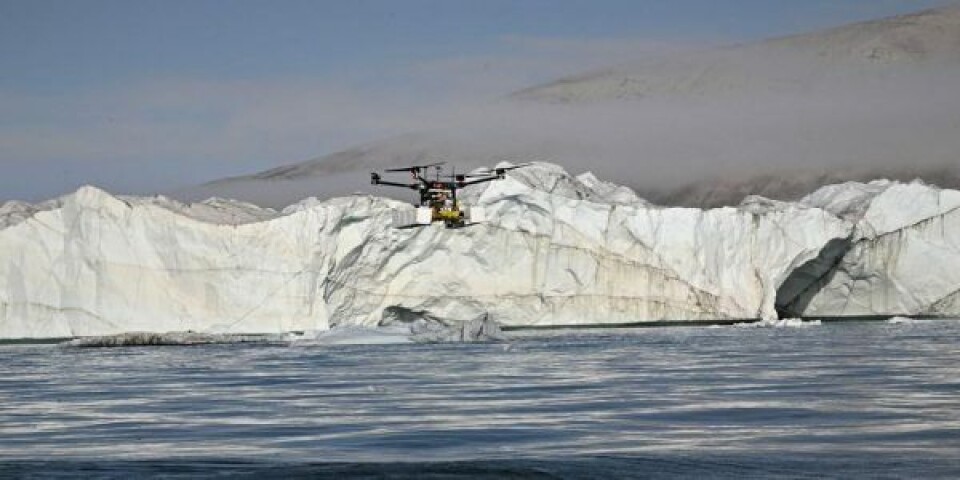 Dronen flyver den 2,6 kg tung sonde ind foran en isbræ i Kong Oscars Fjord. Dronen flyver den 2,6 kg tung sonde ind foran en isbræ i Kong Oscars Fjord. Foto: Peter Bondo Christensen