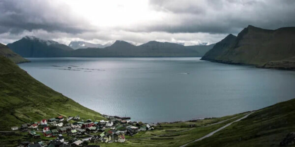 Færøerne. Arkivfoto: Lachlan Gowen / Unsplash
