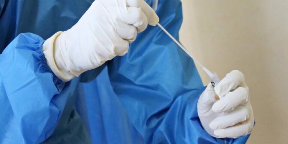 Bizar video: Har de tabt sutten? – Nu testes fisk for coronavirus Foto: Mufid Mejnun / Unsplash